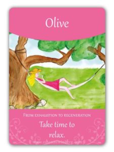 Olive, olivo, Imagen de http://www.susannewinberg.com