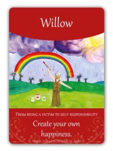 Willow, Sauce,  Imagen de http://www.susannewinberg.com